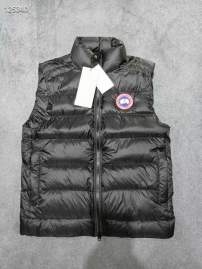 Picture of Canada Goose Down Jackets _SKUCanadaGooseS-2XL26yr2437894